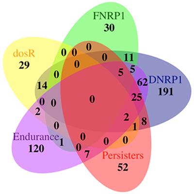 Hypoxia Is Not a Main Stress When Mycobacterium tuberculosis Is in a Dormancy-Like Long-Chain Fatty Acid Environment